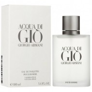 Armani Di Gio 100 ML Erkek Parfümü