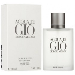 Armani Di Gio 100 ML Erkek Parfümü